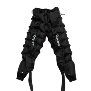 8 kamerų pilnos kelnės